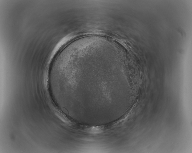 X0000112960056200909101641