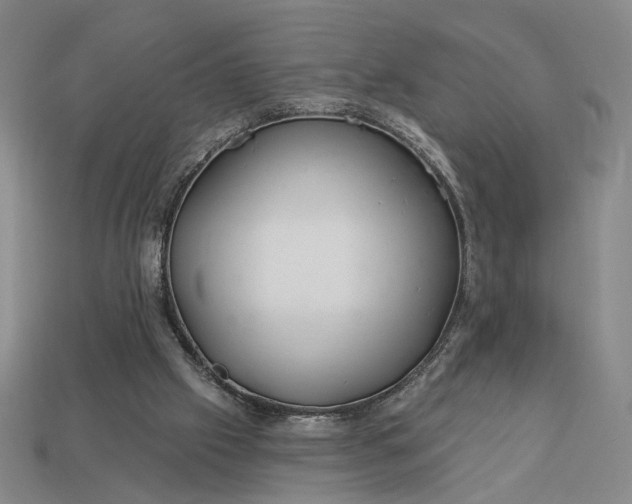 X0000112960057200909101641