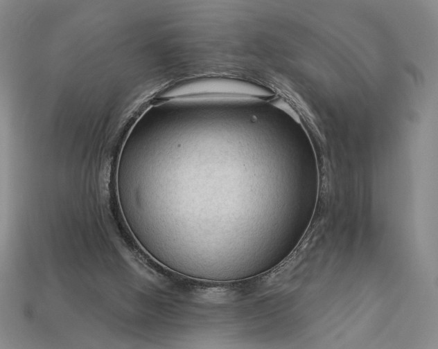 X0000112960058200909101641