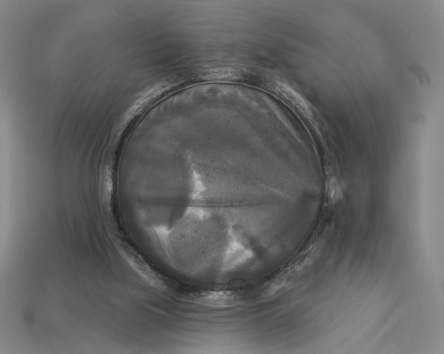 X0000112960059200909101641