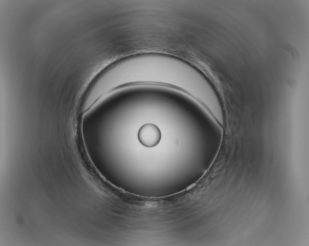 X0000112960060200909101641