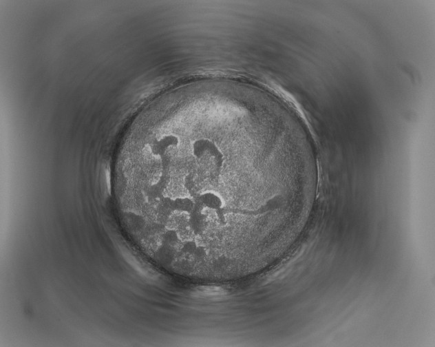 X0000112960061200909101641