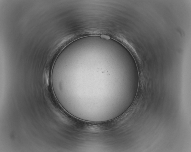 X0000112960062200909101641