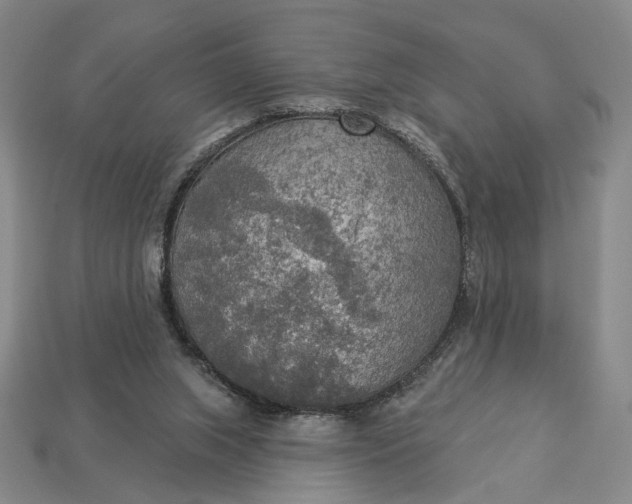 X0000112960063200909101641