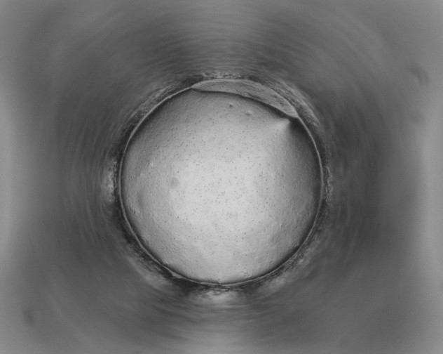 X0000112960065200909101641