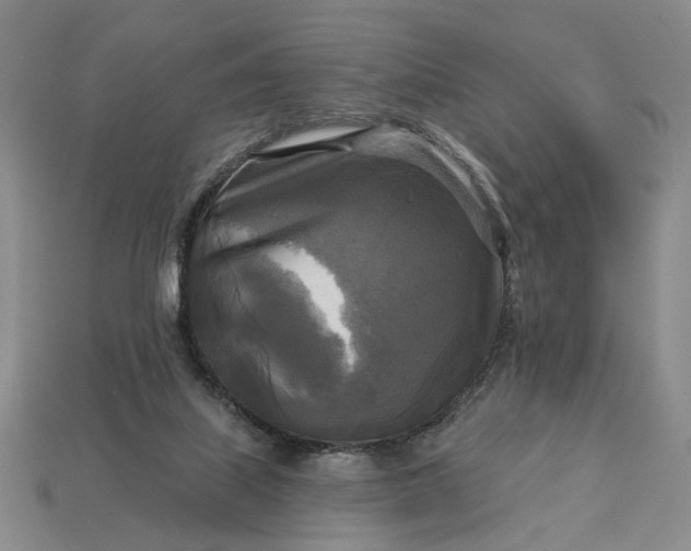 X0000112960067200909101641