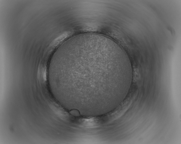 X0000112960068200909101641