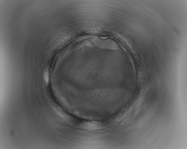 X0000112960069200909101641