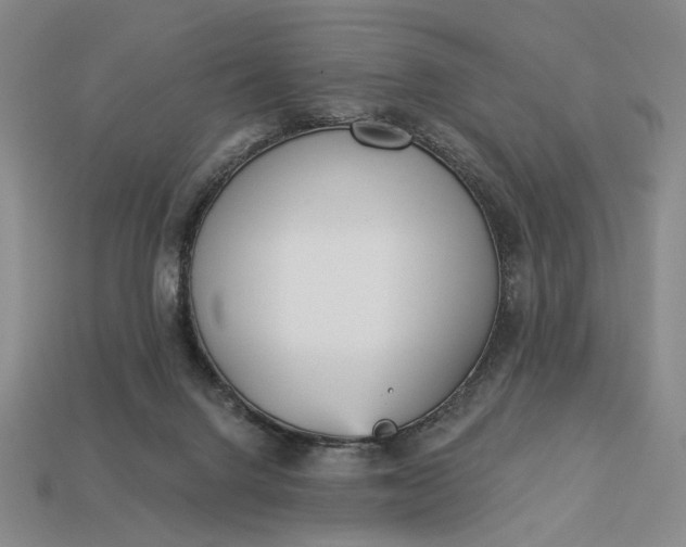 X0000112960072200909101641