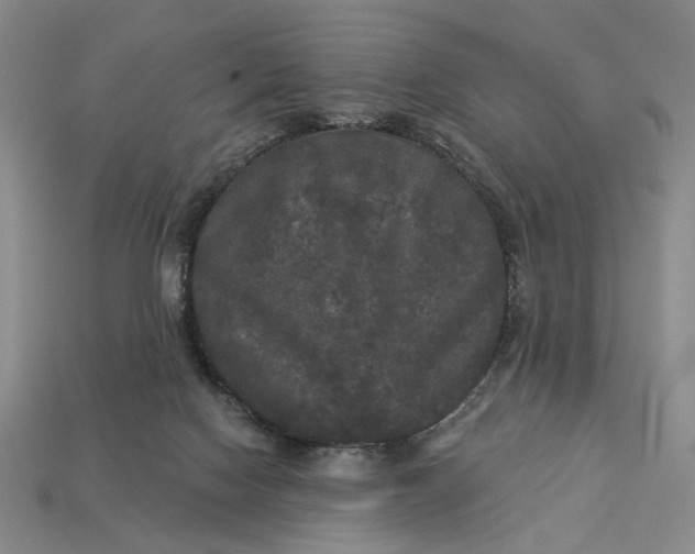 X0000112960074200909101641