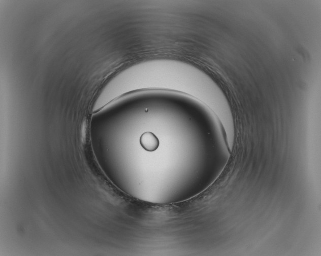 X0000112960076200909101641