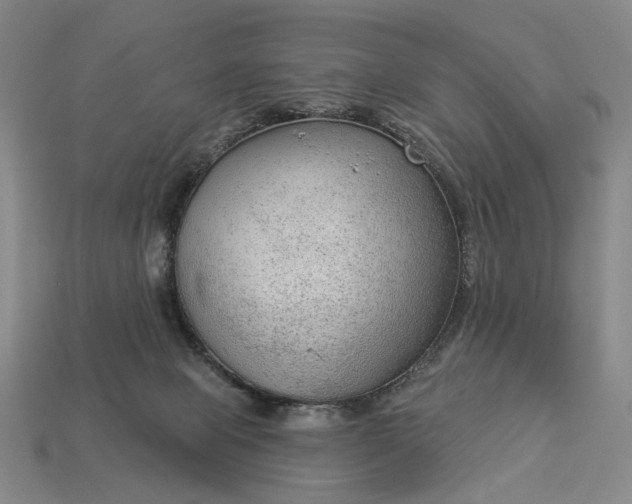 X0000112960077200909101641