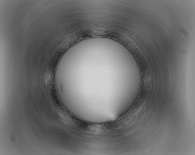 X0000112960079200909101641