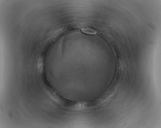 X0000112960080200909101641