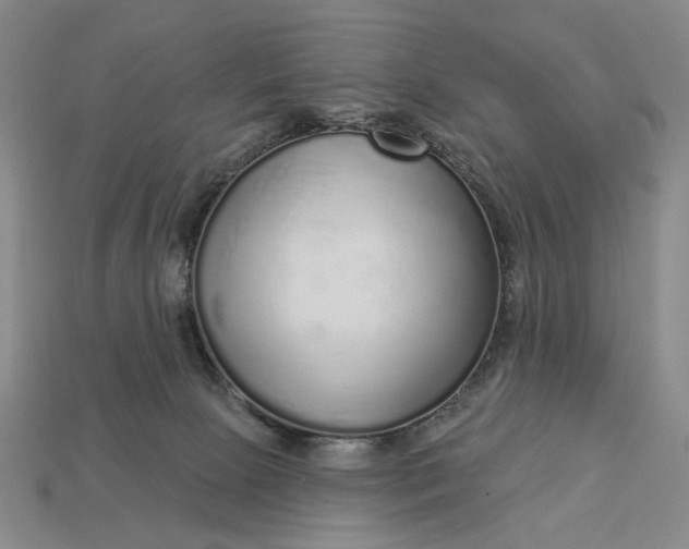 X0000112960081200909101641