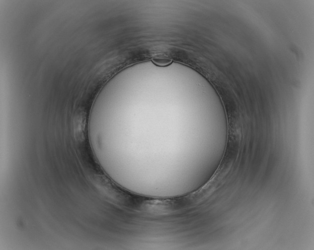 X0000112960082200909101641