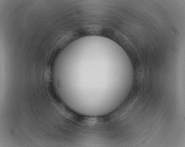 X0000112960083200909101641