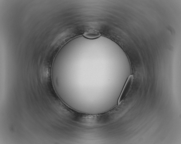 X0000112960084200909101641