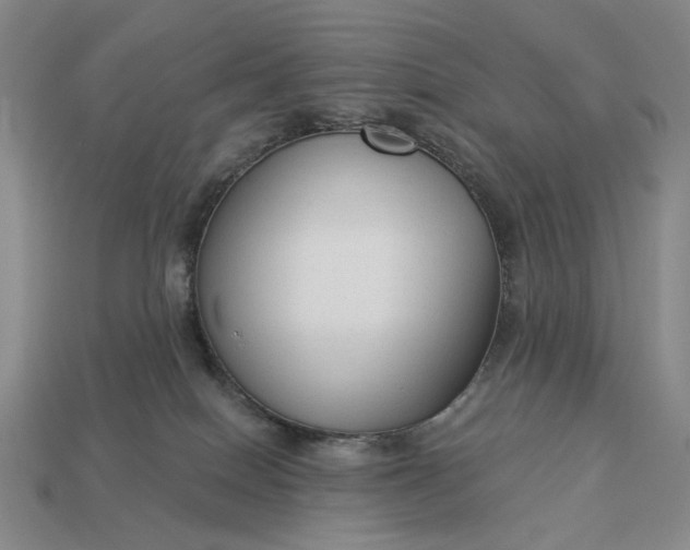 X0000112960086200909101641