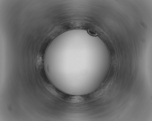 X0000112960087200909101641