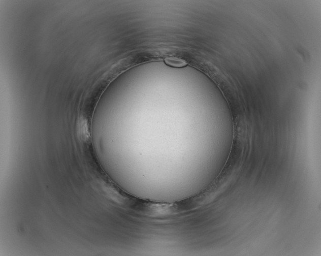 X0000112960089200909101641