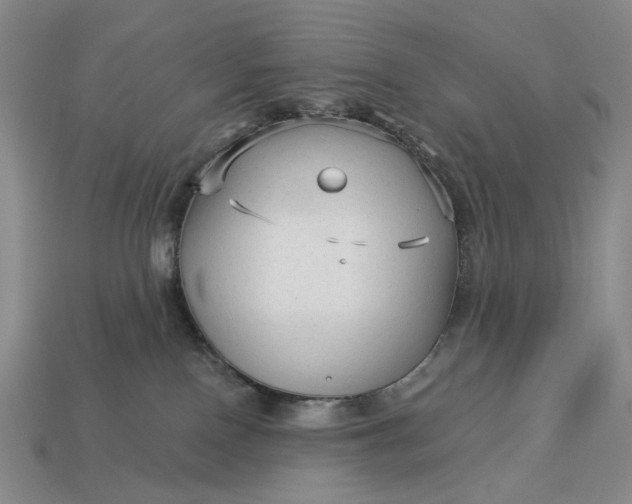 X0000112960090200909101641