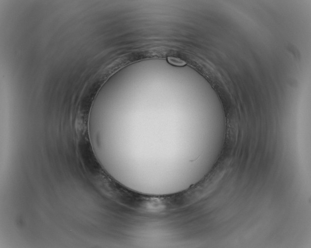 X0000112960091200909101641