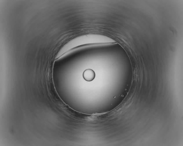 X0000112960092200909101641