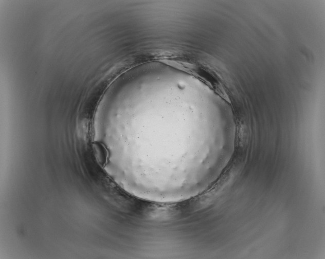 X0000112960093200909101641