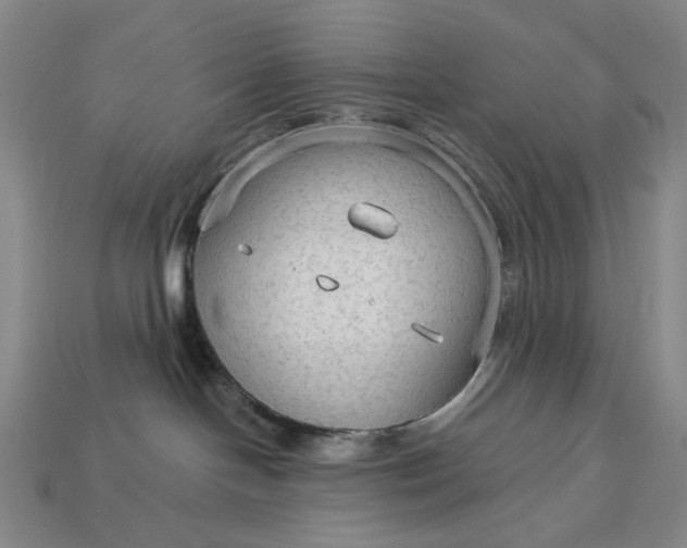 X0000112960094200909101641