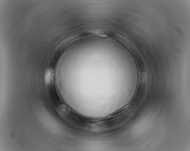 X0000112960095200909101641