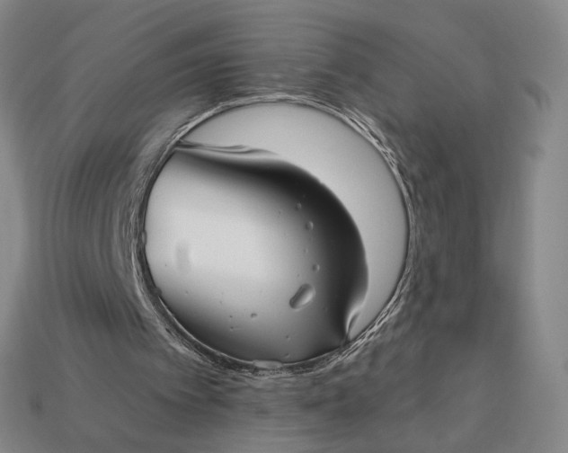 X0000112960097200909101641