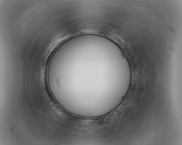 X0000112960098200909101640