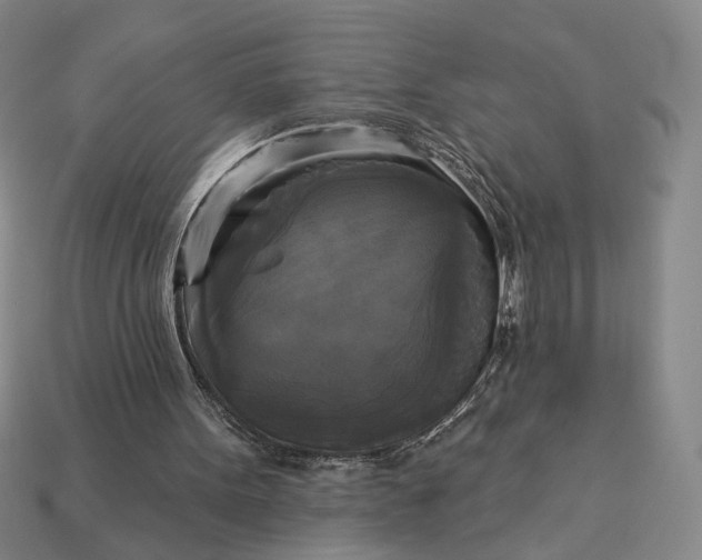 X0000112960099200909101640