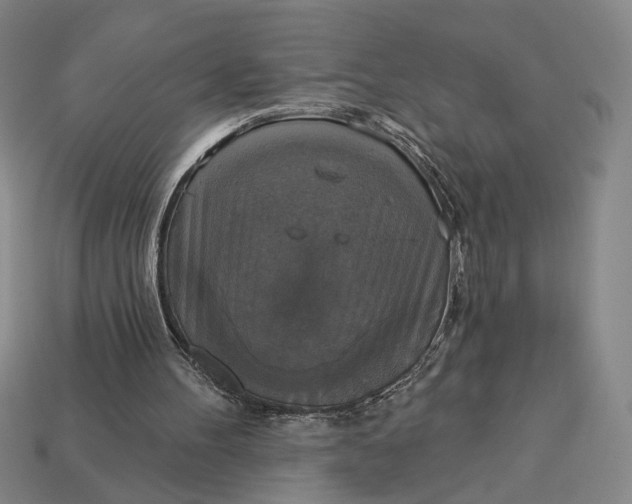 X0000112960100200909101640