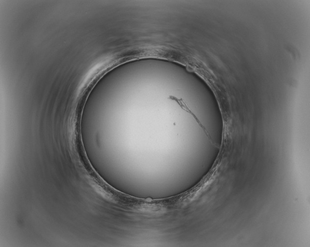 X0000112960101200909101640