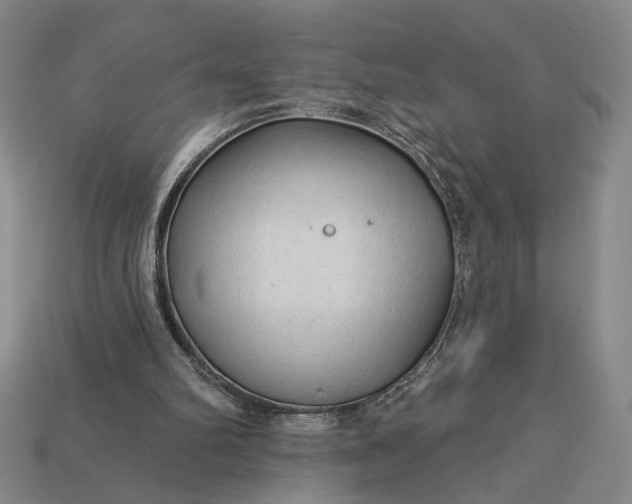 X0000112960102200909101640