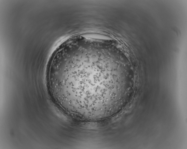 X0000112960104200909101640