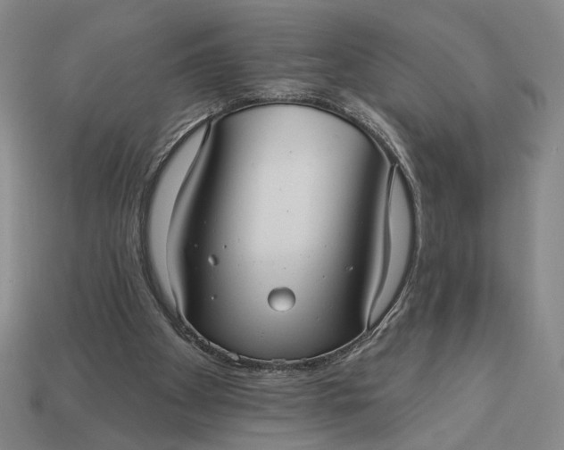 X0000112960105200909101640