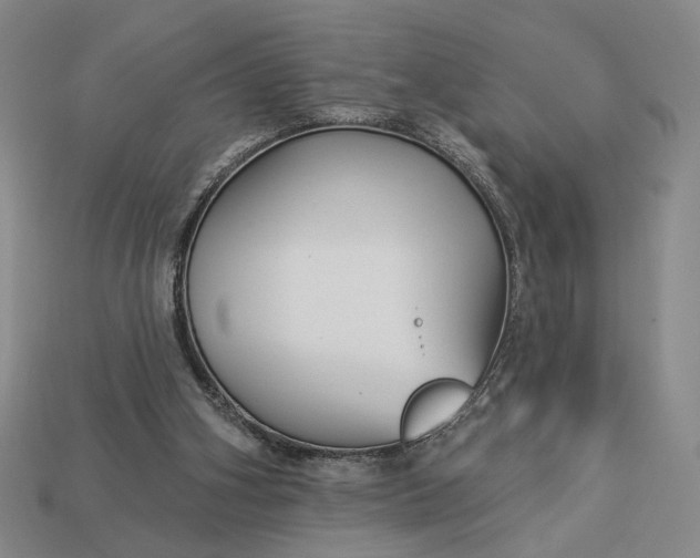 X0000112960106200909101640