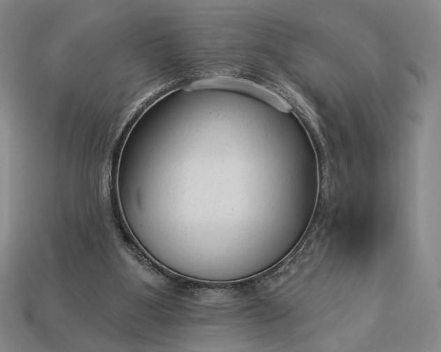 X0000112960107200909101640