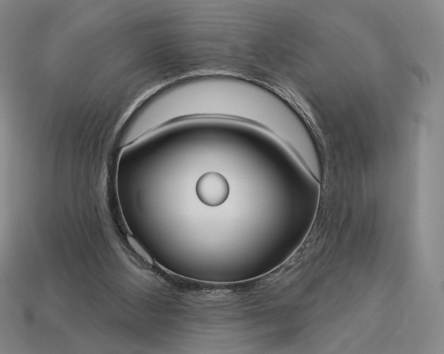 X0000112960108200909101640