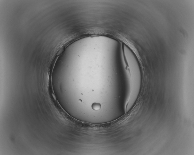 X0000112960109200909101640