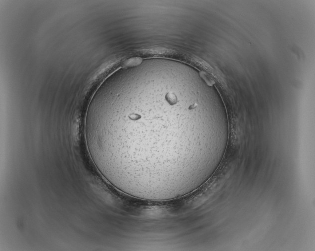 X0000112960111200909101640