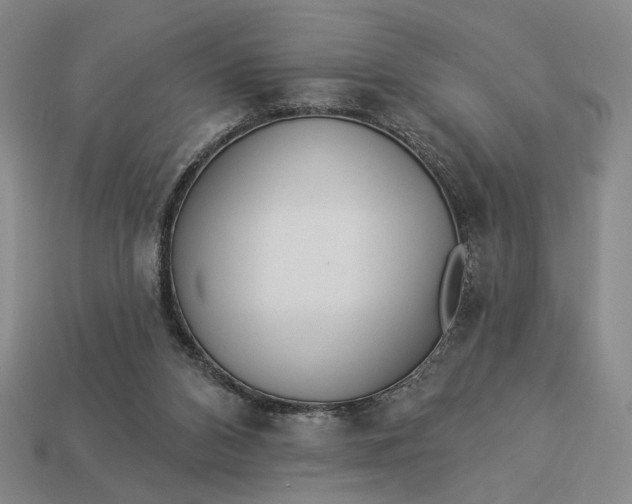 X0000112960112200909101640