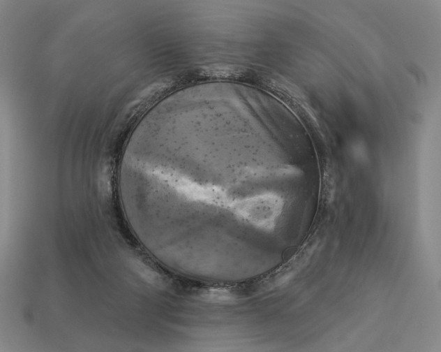 X0000112960114200909101640