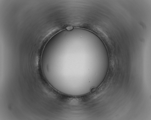 X0000112960115200909101640