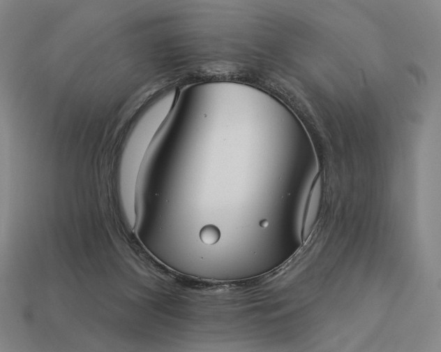 X0000112960116200909101640