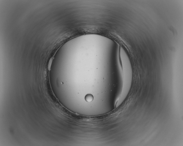 X0000112960117200909101640