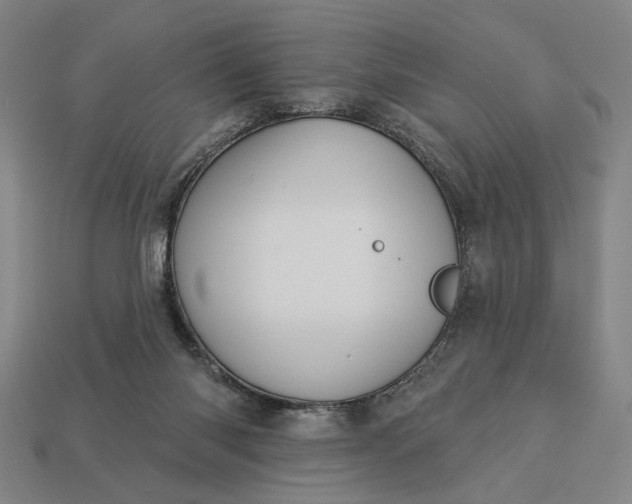 X0000112960118200909101640